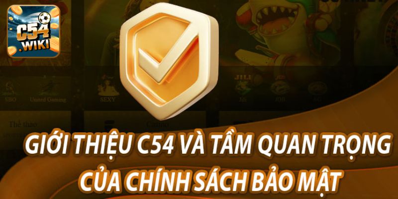 Tầm quan trọng của chính sách bảo mật C54