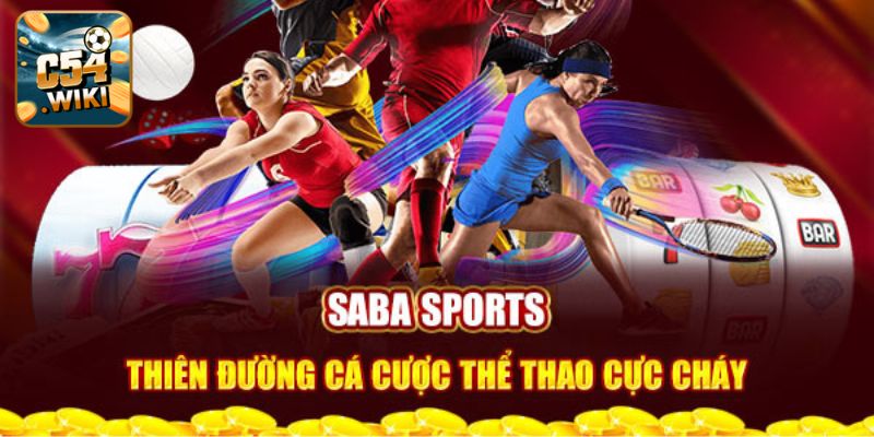 Ưu điểm khi chơi tại Sapa sport