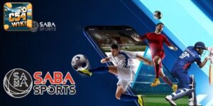 Sapa sport - Sảnh game thể thao cược không giới hạn